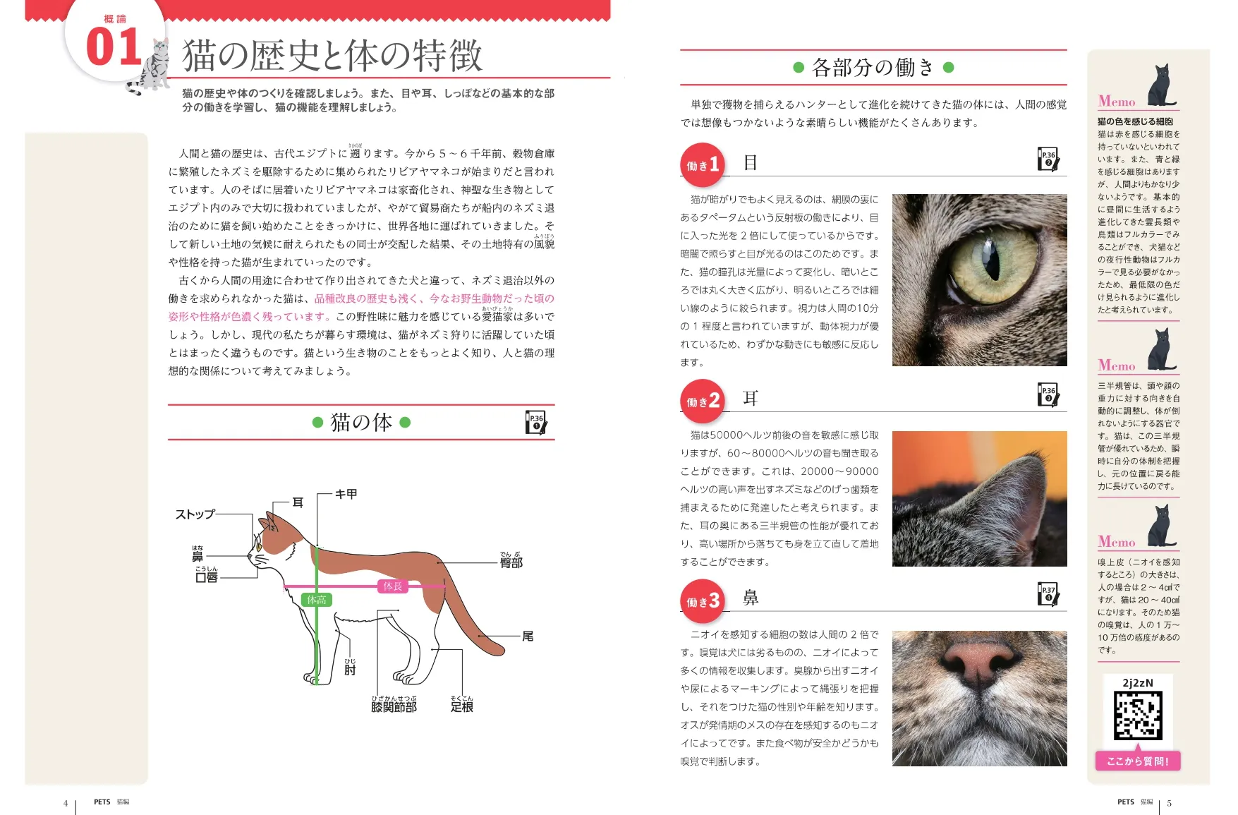 テキストの画像