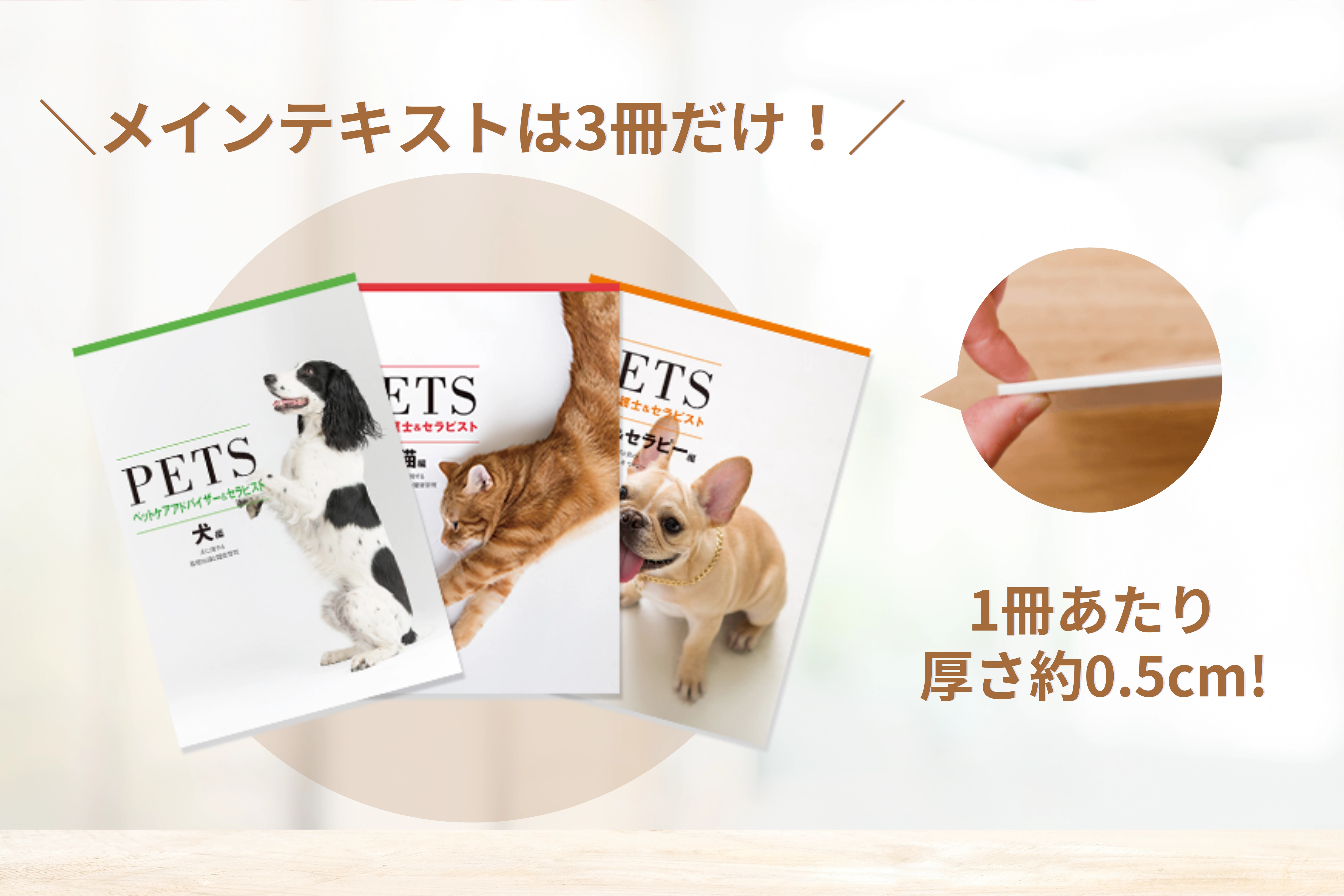 テキストの厚さの説明画像