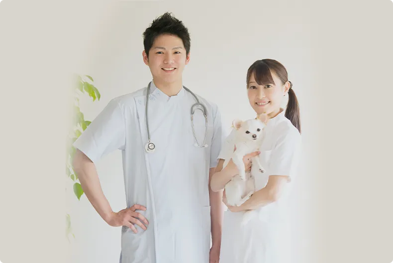 上級ペットケアアドバイザー講座のイメージ画像