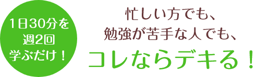 1日30分を週2回学ぶだけ!忙しい方でも、勉強が苦手な人でも、コレならデキる！