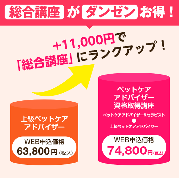 総合講座なら別々に学ぶより、33,000円もお得！