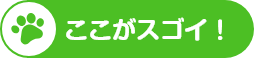 ここがスゴイ！