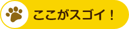 ここがスゴイ！