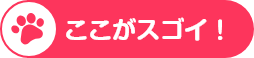 ここがスゴイ！