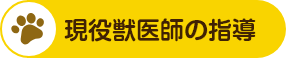 現役獣医師の指導