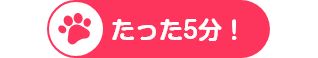 たった5分！