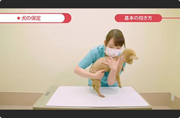 映像講義の画像