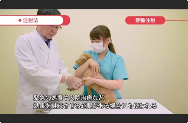映像講義の画像