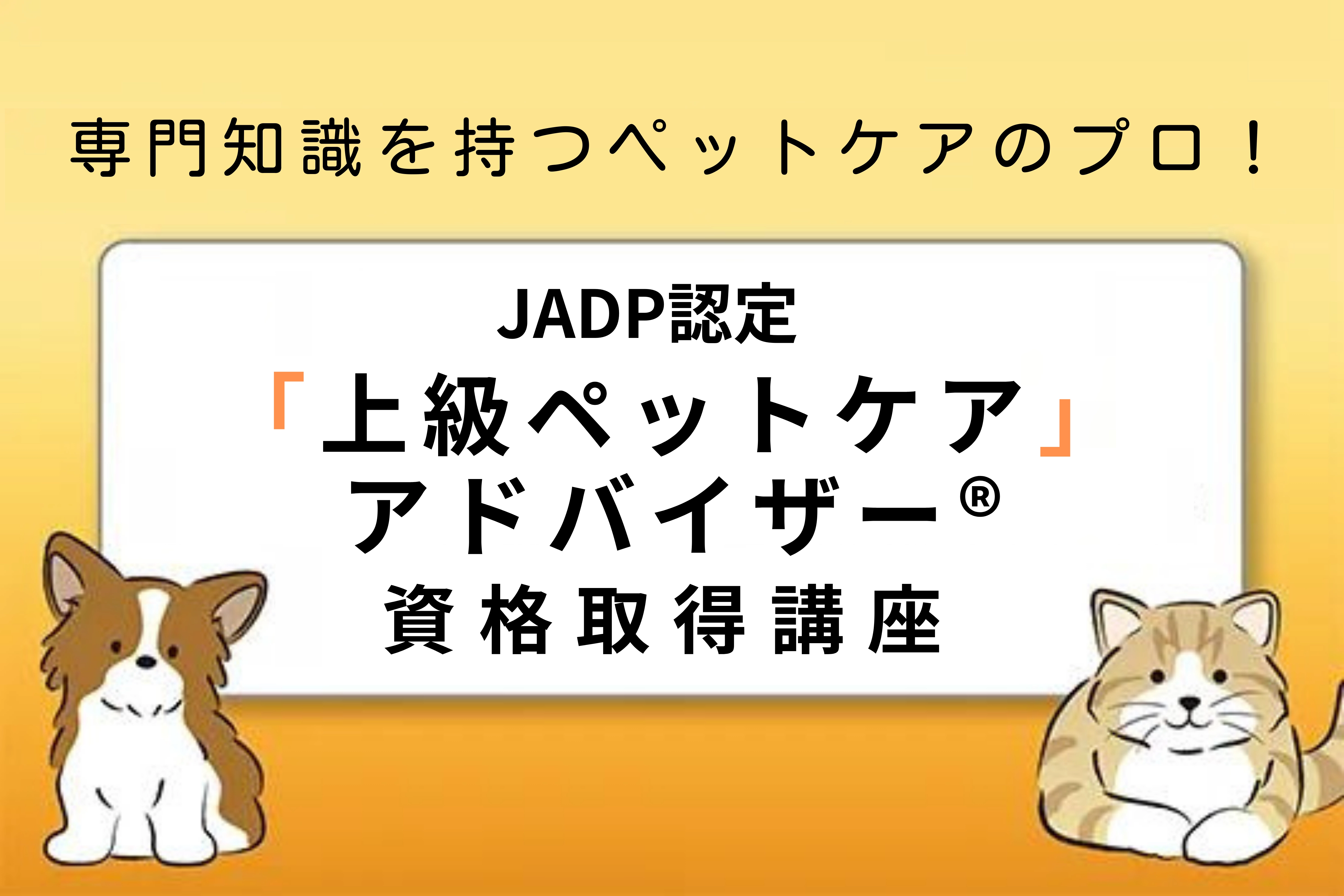 上級ペットケアアドバイザーのサムネイル画像