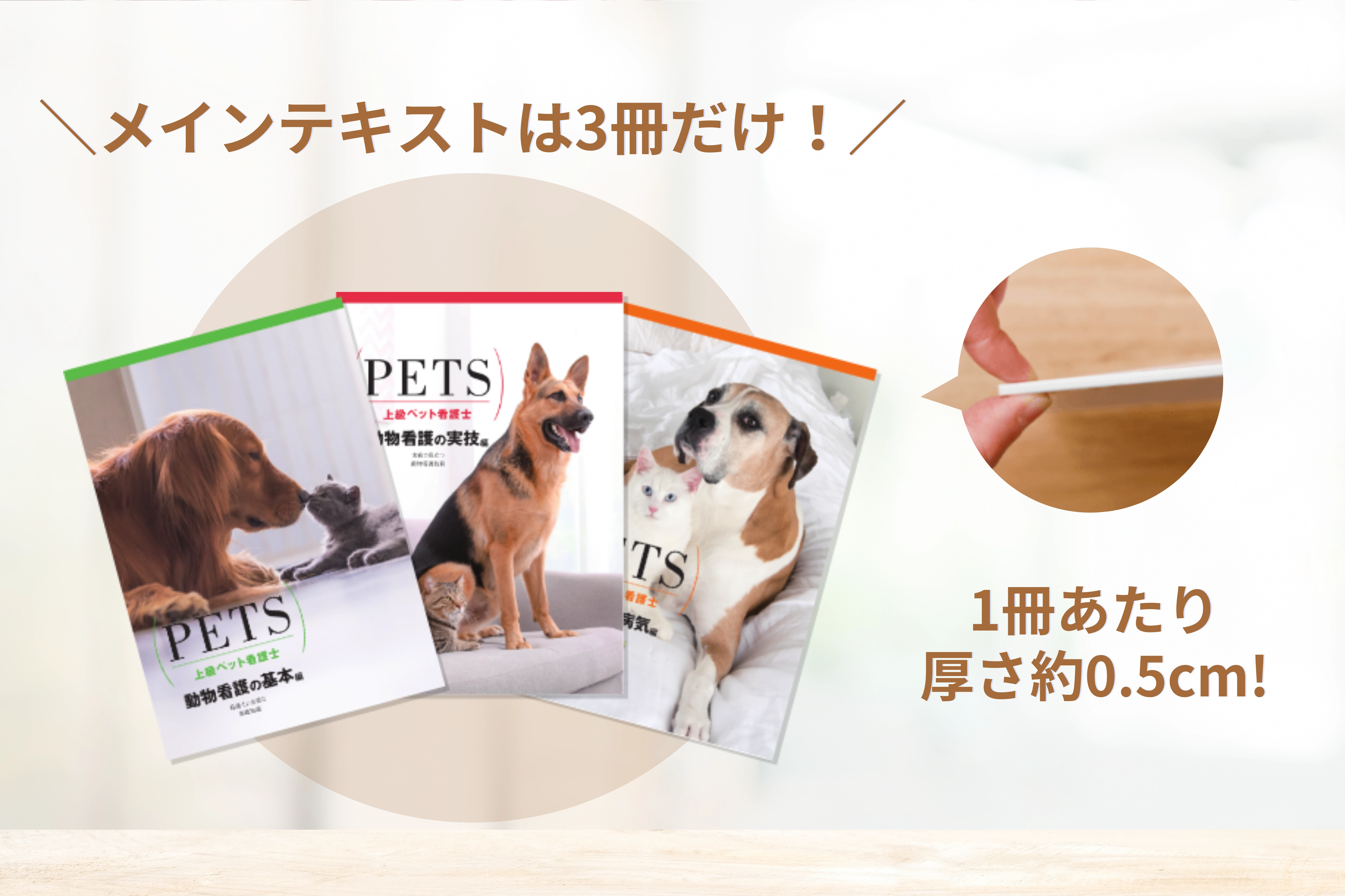 テキストの厚さの説明画像