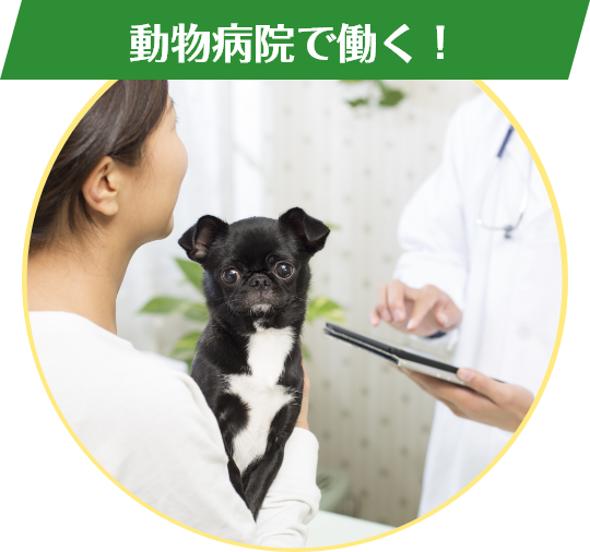 動物病院で働く！