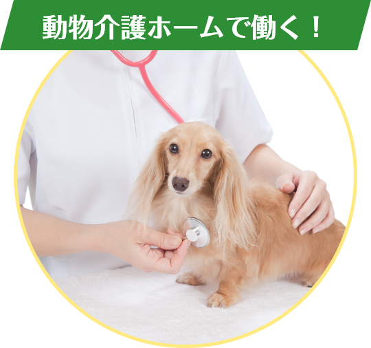 動物介護ホームで働く！