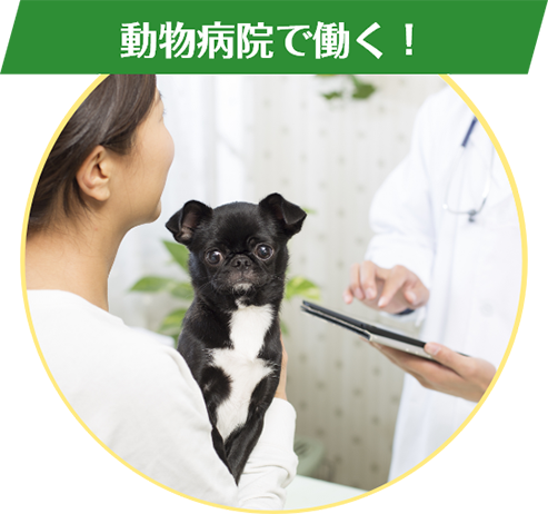 動物病院で働く！