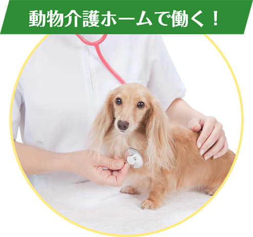 動物介護ホームで働く！