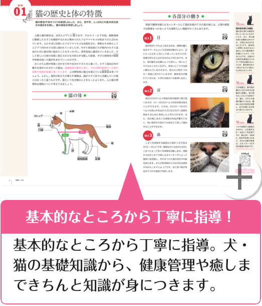 基本的なところから丁寧に指導！