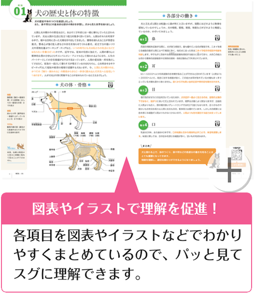 図表やイラストで理解を促進！