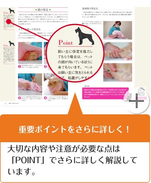 重要ポイントをさらに詳しく！