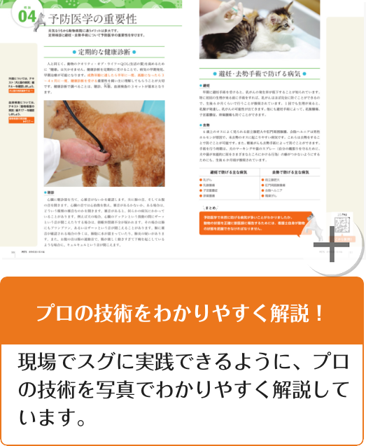 プロの技術をわかりやすく解説！