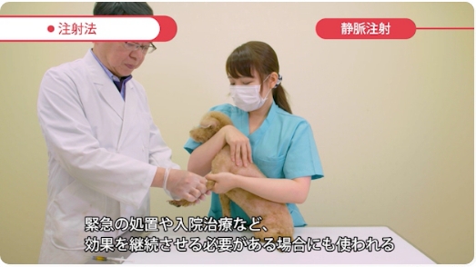注射補助