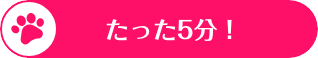 たった5分！