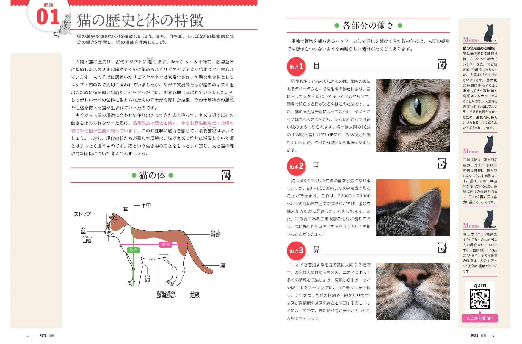 テキストの画像