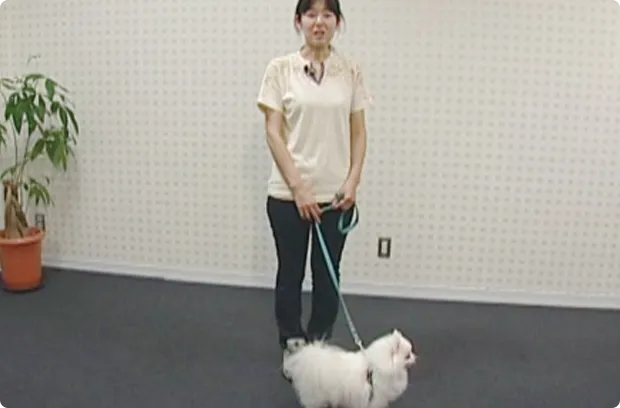 映像講義の画像