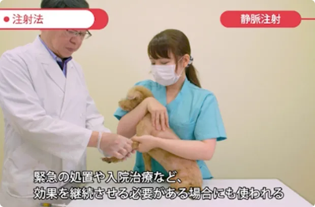 映像講義の画像