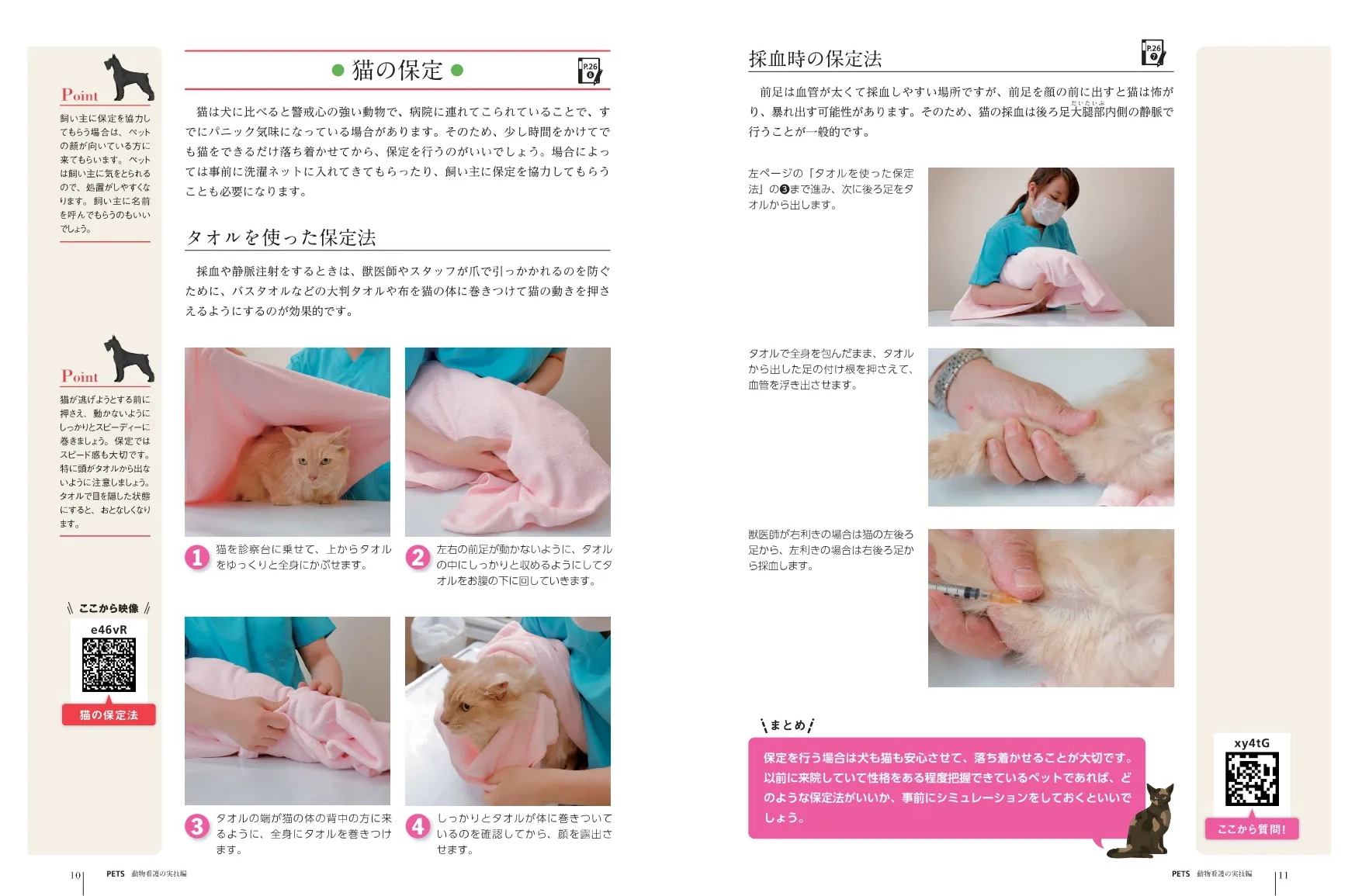 テキストの画像