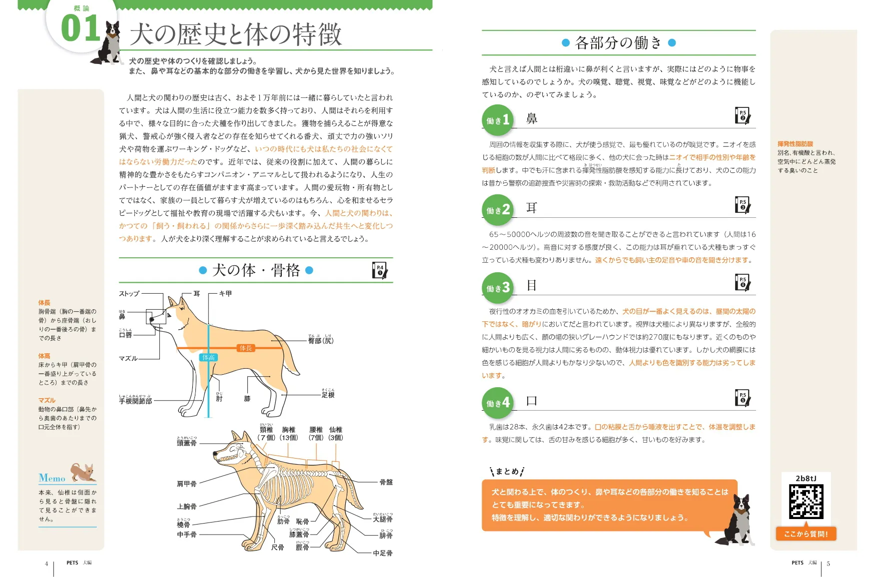 テキストの画像