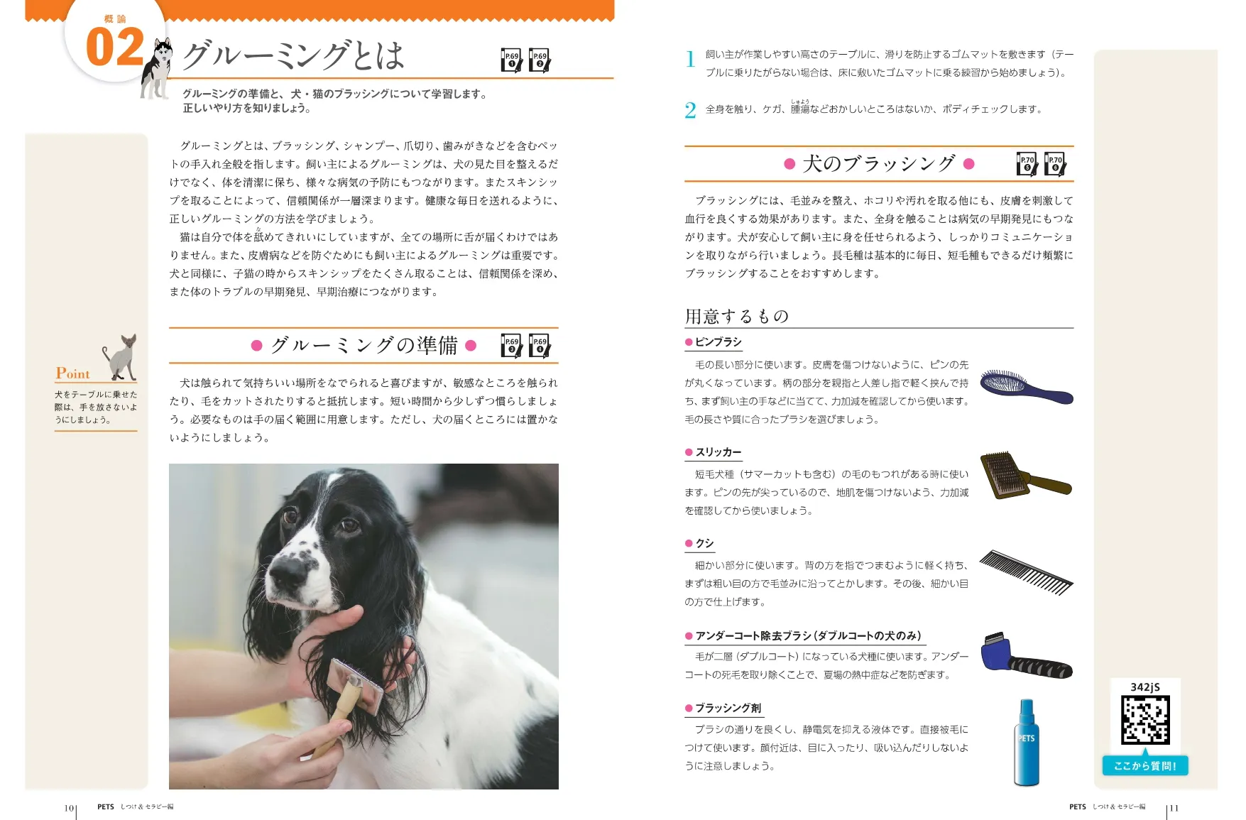 テキストの画像