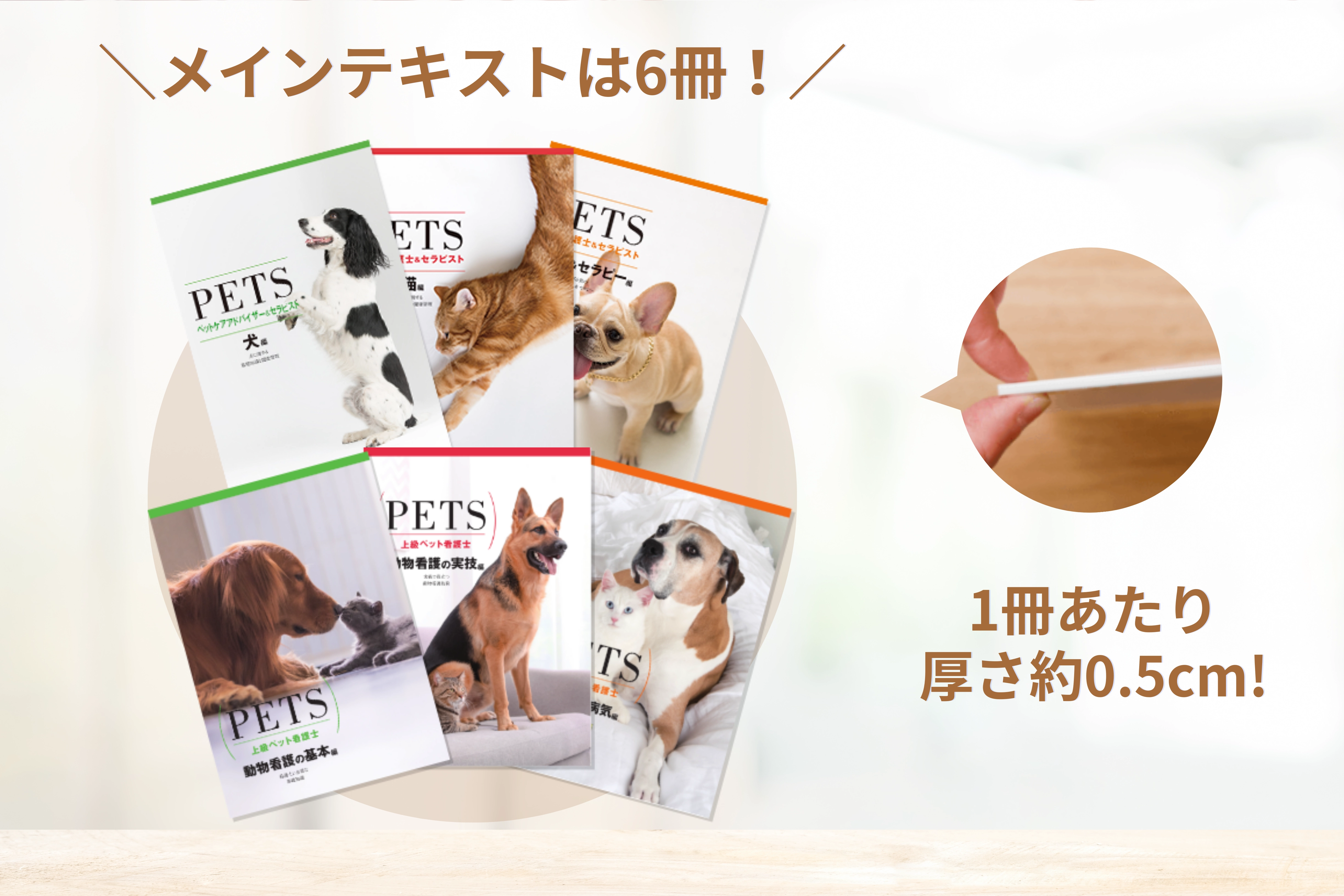 テキストの厚さの説明画像