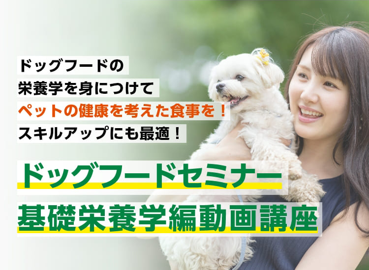 ドッグフードセミナー基礎栄養学編動画講座