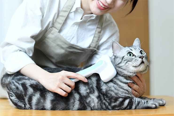 まとめ