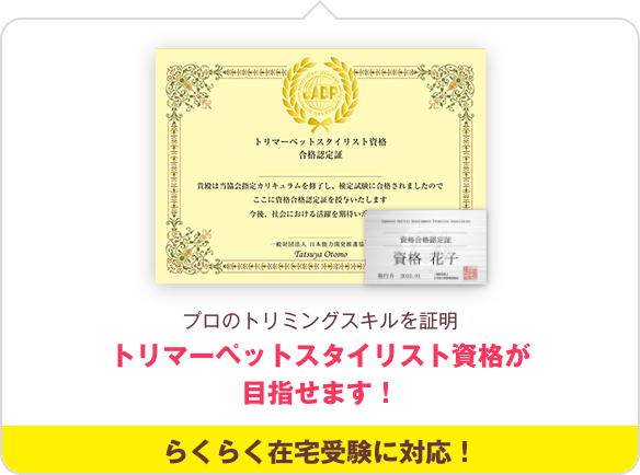 トリマー資格講座 自宅でプロのトリミング技術が学べる 通信教育講座 資格のキャリカレ