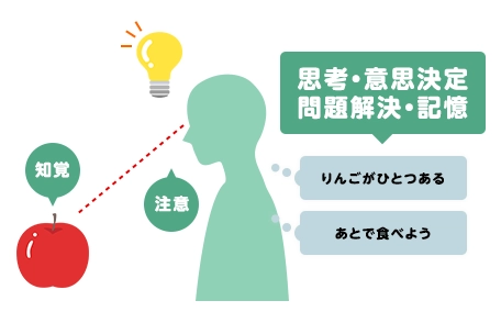 認知心理学の図解画像