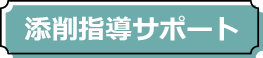 添削指導サポート