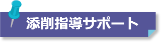 添削指導サポート