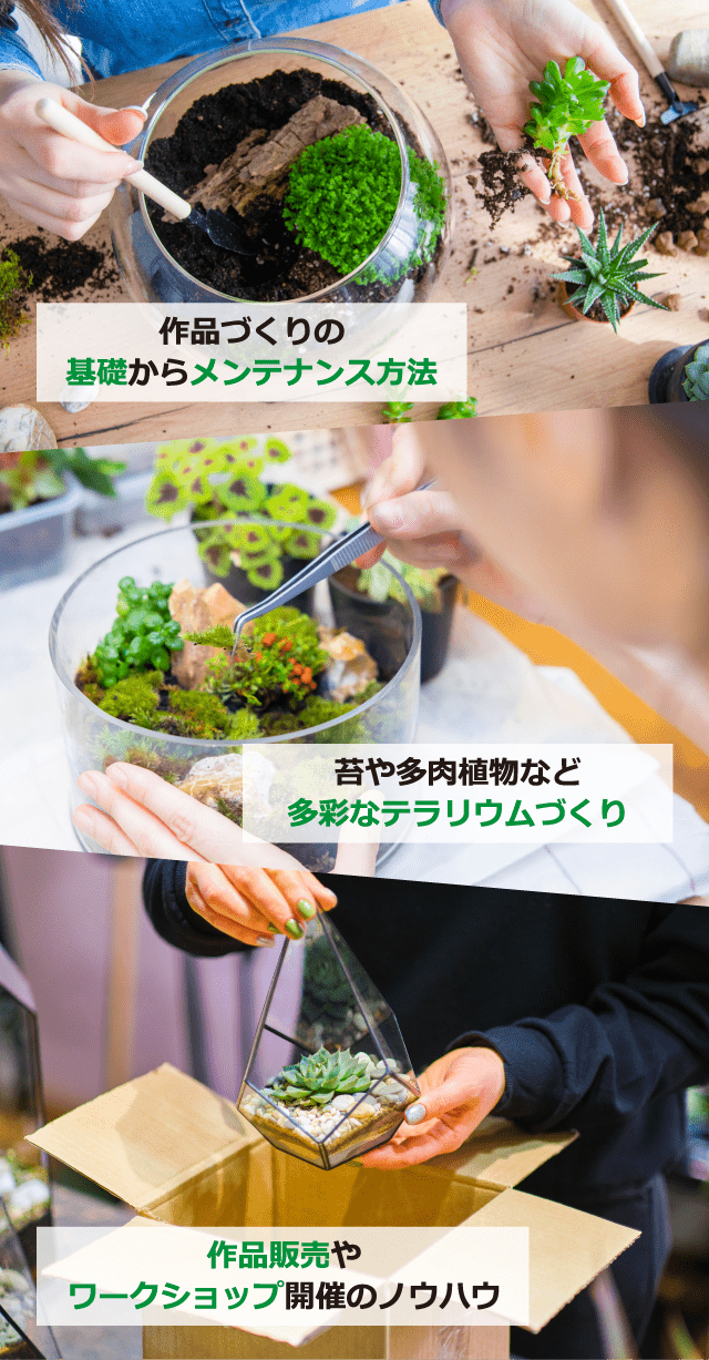 作品づくりの基礎からメンテナンス方法 苔や多肉植物など多彩なテラリウムづくり 作品販売やワークショップ開催のノウハウ