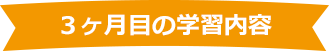 3ヶ月目の学習内容