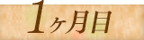 1ヶ月