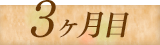 3ヶ月