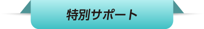 特別サポート