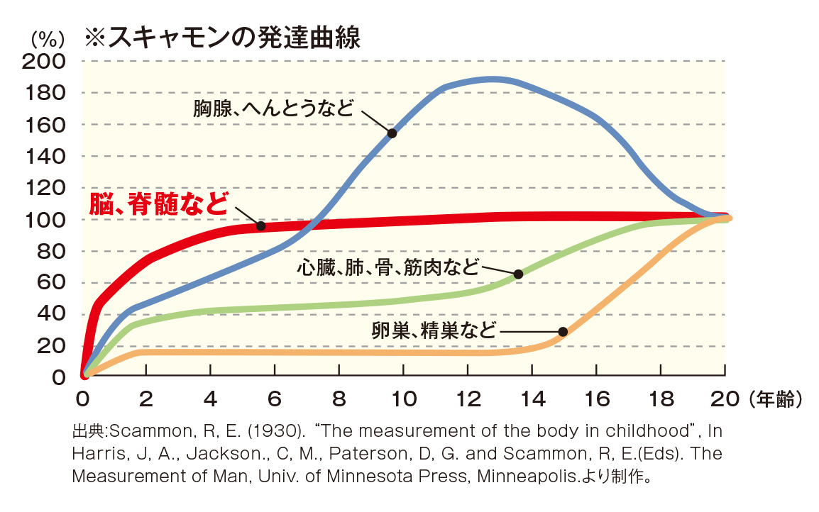 知育レクとは?古代中国で生まれた鑑定術!