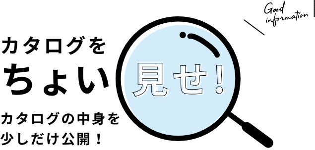 カタログをちょい見せ