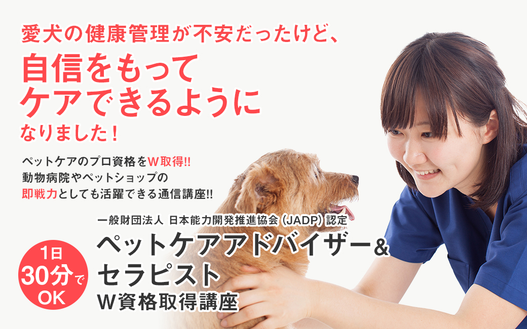 愛犬の健康管理が不安だったけど、自信を持ってケアできるようになりました！　ペットケアのプロ資格をW取得!!　動物病院やペットショップの即戦力としても活躍できる通信講座!!1日たった30分　一般財団法人　日本能力開発推進協会（JADP）認定　ペットケアアドバイザー＆セラピスト　W資格取得講座