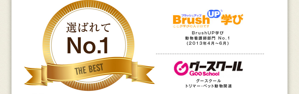 選ばれてNo.1 THE BEST BrushUP学び 動物看護師部門 No.1（2013年4月～6月）● グースクール トリマー・ペット動物関連No.1　