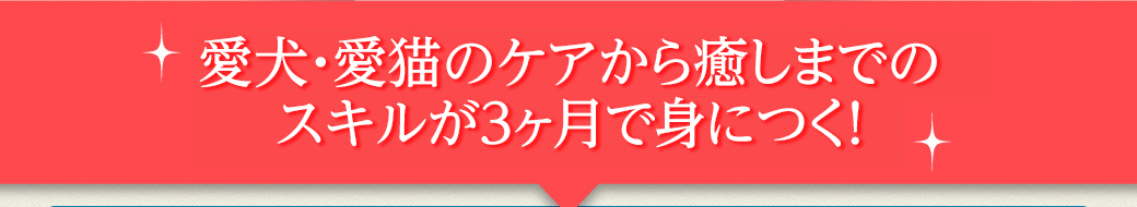 愛犬・愛猫のケアから癒しまでが3ヶ月で身につく人気講座！