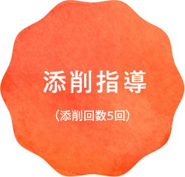 添削指導（添削回数5回）