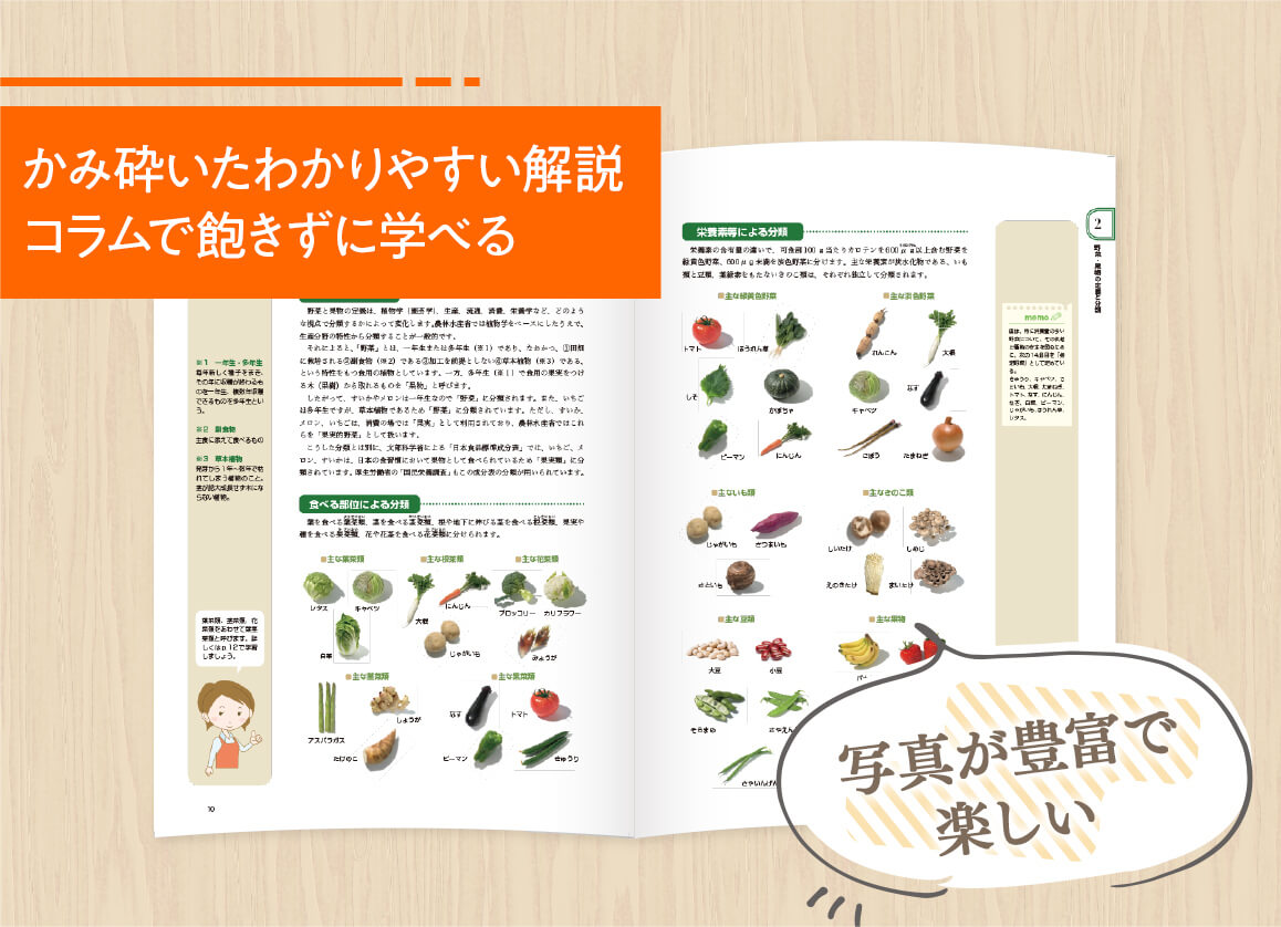 写真が豊富で楽しいかみ砕いたわかりやすい解説コラムで飽きずに学べる