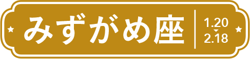 みずがめ座